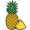 The Pineapple Magic